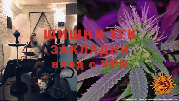 шишки Киренск