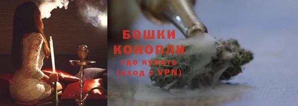 шишки Киренск