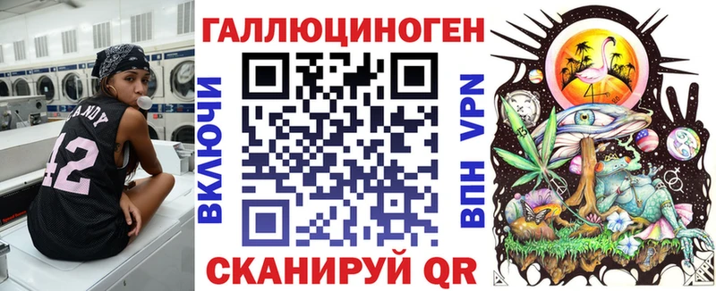 Купить закладки  Буйнакск  Псилоцибиновые грибы Magic Shrooms 